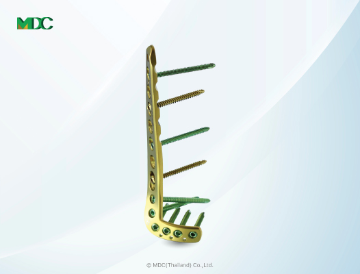 MDC(THAILAND) | Product's Category